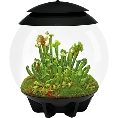 BiOrb Air Terrarium čierne 30 l