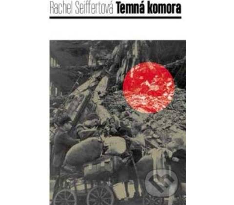 Temná komora