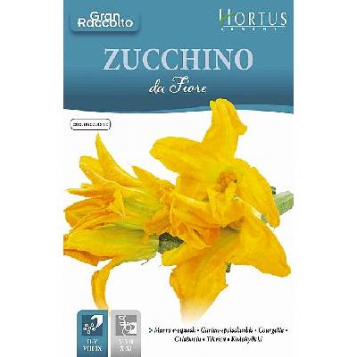 Hortus Цветове от Тиквичка Zucchino da Fiore