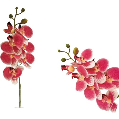 Umělá růžovobílá orchidej 72 cm