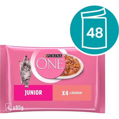 Purina One Junior losos 48 x 85 g