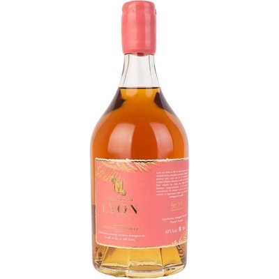Ferragut Armagnac du Lyon 40% 0,7 l (holá láhev) – Zboží Mobilmania