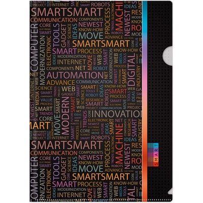 ARGUS Plastový obal L na dokumenty A4 Smart