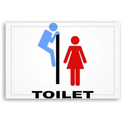 Fotoobraz 60x40 cm malý Toilet