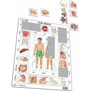 TACTIC Ukladanka Our Body Maxi