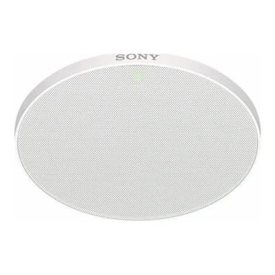 Sony MAS-A100
