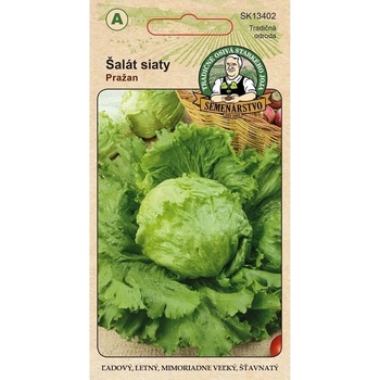 Semenárstvo Šalát siaty Pražan 0,5g