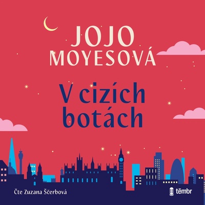 V cizích botách