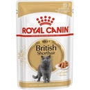 Royal Canin Cat British Shorthair 12 x 85 g