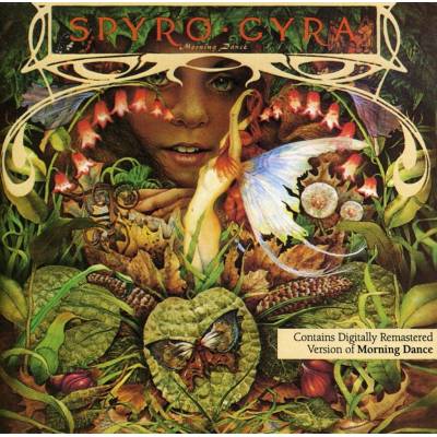 Morning Dance - Spyro Gyra CD