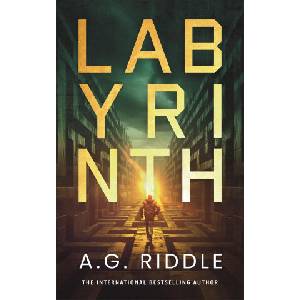 Labyrinth | RIDDLE A G (ISBN: 9781035924998)