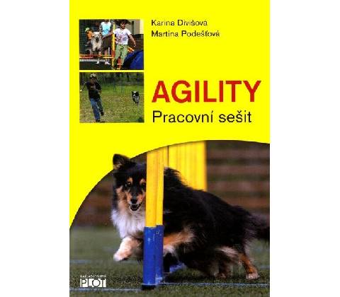 Agility - pracovní sešit