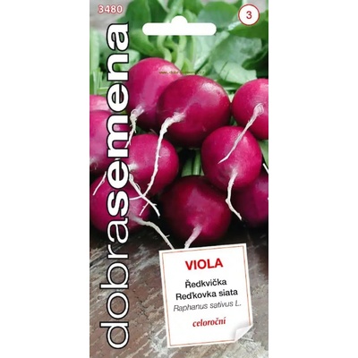 Reďkovka siata Viola 4g Dobrá semena