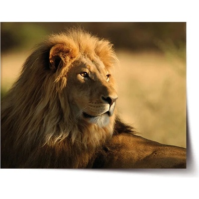 Sablio Plagát Lev 3 - 90x60 cm