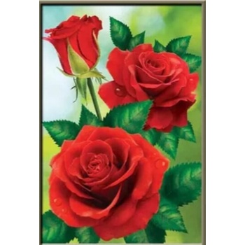 Image 1 of Червени рози 24/34 см