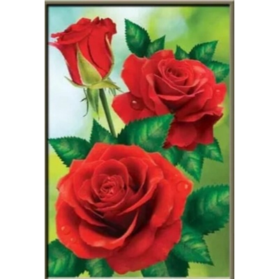 Червени рози 24/34 см