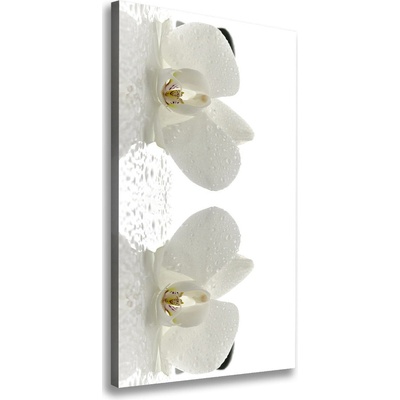 Vertikálny foto obraz na plátne Orchidea a kamene 50x100 cm