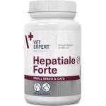 VetExpert Хепатопротектор за кучета и котки VetExpert Hepatiale Forte / Advanced