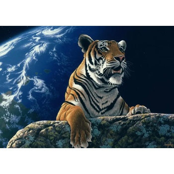 Image 1 of Grafika - Puzzle Schimmel: Only One Home II - 2 000 piese