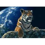 Grafika Art Puzzle - Puzzle Schimmel: Only One Home II - 2 000 piese