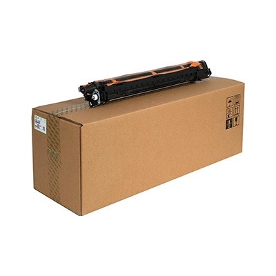 Ricoh D1863052 - originální