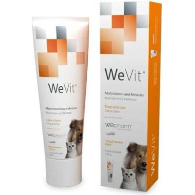 WePharm Veterinaria WeVit Tasty 100 gr Multivitamin a minerály