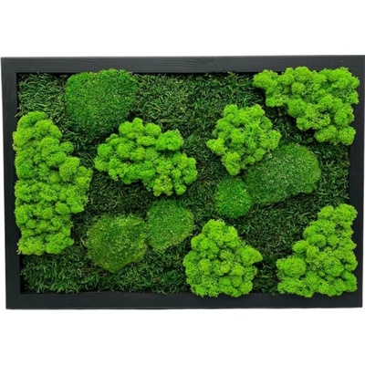 Machový obraz Trio Moss 50x35cm Na šírku