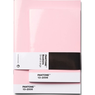 Copenhagen Design Тетрадки с точки Pantone светлорозови 2 бр (101532006)