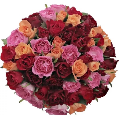 Kytice 55 míchaných růží KATRIEL 50cm