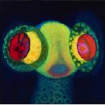 Thee Oh Sees - SORCS 80 (LP) (0657628446415)