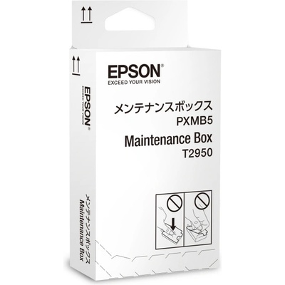 Epson Контейнер Epson C13T295000 за WorkForce WF-100 (C13T295000)