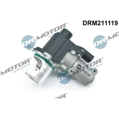 Dr.Motor Automotive AGR ventil DMA DRM211119
