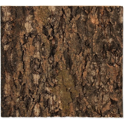 Repti Planet pozadí přírodní korek 29 x 27,3 cm