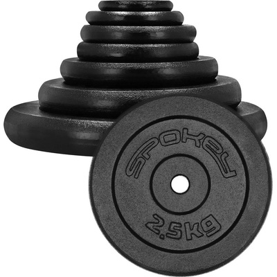 Spokey Litinový kotouč SINIS 2,5 kg 29mm – Zboží Dáma
