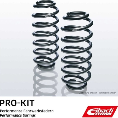 Eibach Snížené pružiny Pro-Kit E10-20-038-03-20 | Zboží Auto