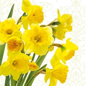 PAW servítky Yellow daffodils 33x33cm