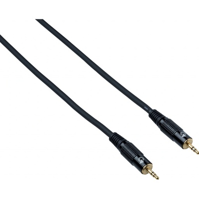 Bespeco EA2M100