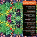 Kaleidoscope LP
