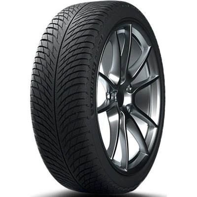 Michelin Pilot Alpin 5 295/30 R20 101V