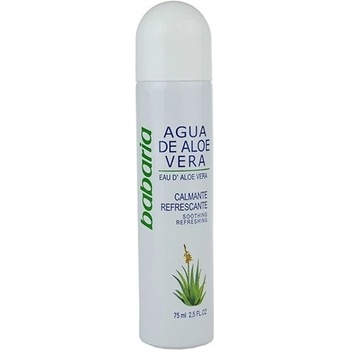 succo agave Blue Agave – Jungle Plants main image 1