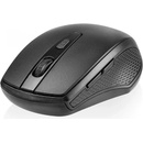 Image 1 of Tracer Nano TRAMYS46750/29