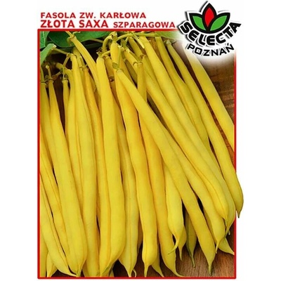 Fazuľa špargľová žltá "Gold Saxa" 30 g