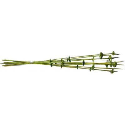 Ting new zelená