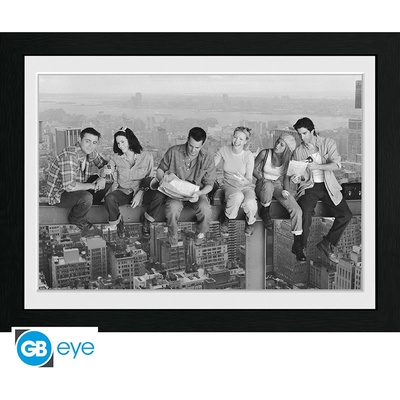 FRIENDS - Framed print "On Girder", PFC3027