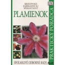 Plamienok