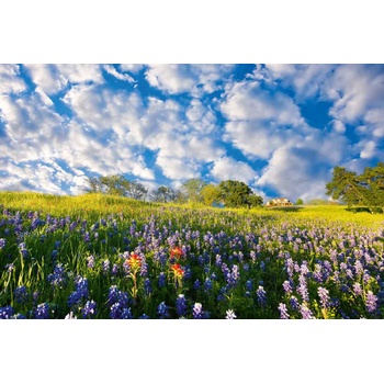 DIMEX ART s. r. o Флизелинов фототапет син боне 375 x 250 см