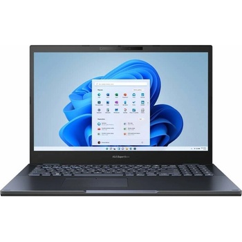 Asus B2502CVA-KJ0649X