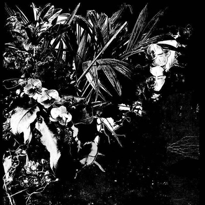 Jeff Mertens - Orchid Alto LP