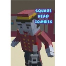 Square Head Zombies