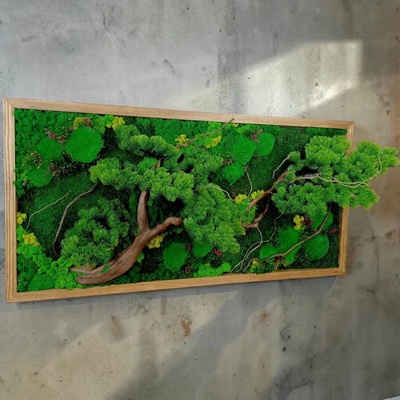 Machový obraz Strom Bonsaj – Stabilizovaný mach a prírodné drevo | WoodYar - 50×50 cm